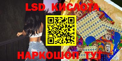 трава Сланцы