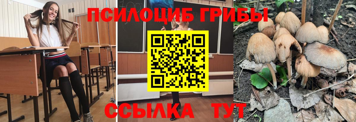 Алексеевка  Псилоцибиновые грибы Magic Shrooms  Галлюциногенные грибы GOLDEN TEACHER  Вход с VPN 